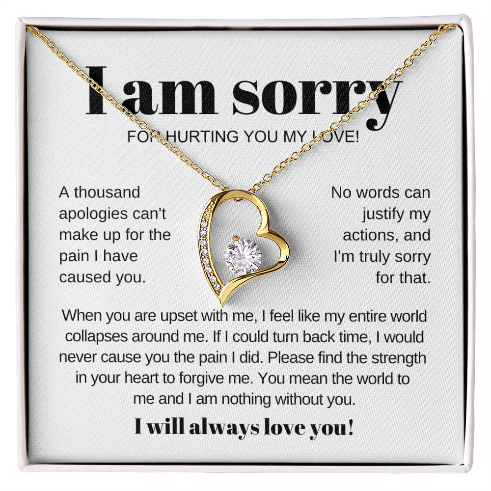Apology Necklace - Love Heart Necklace - I Am Sorry for Hurting You